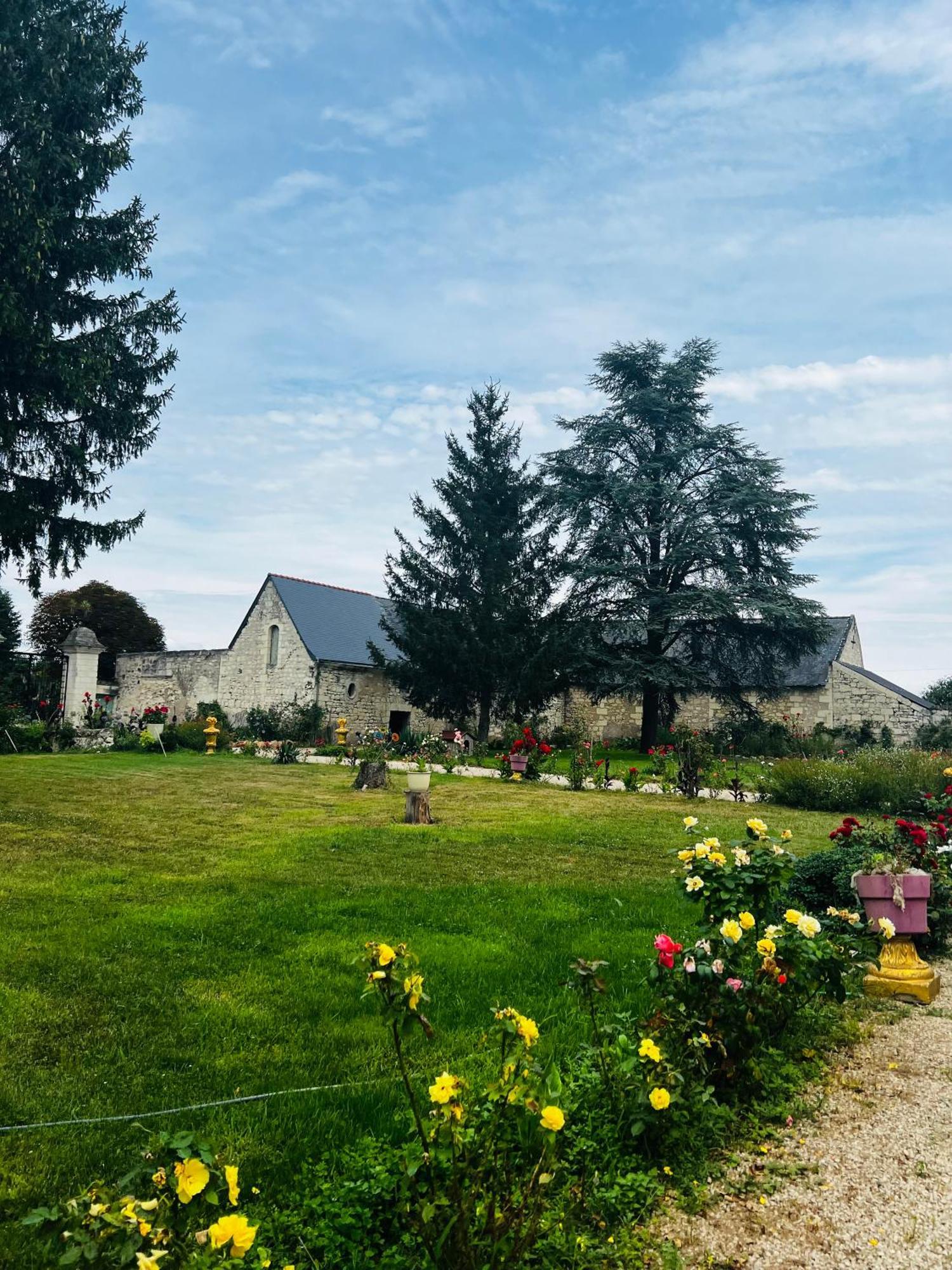 Chateau De La Thibaudiere - Chambre Du Tonneau Allonnes  Luaran gambar